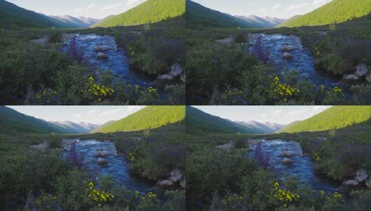 四川松潘羊拱海溪流高清在线视频素材下载