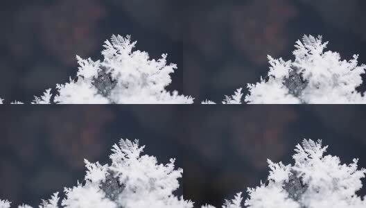 微距雪花高清在线视频素材下载