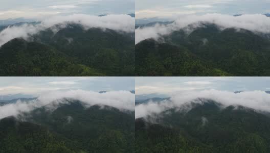 海南五指山热带雨林航拍高清在线视频素材下载