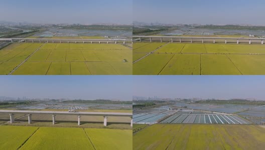 秋天稻田丰收高铁高清在线视频素材下载