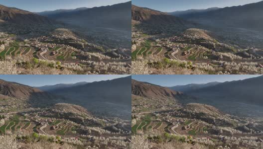 8K梨花盛开的金川沙耳乡晨光延时高清在线视频素材下载