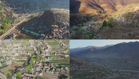 航拍晨光中梨花盛开的金川沙耳乡高清在线视频素材下载