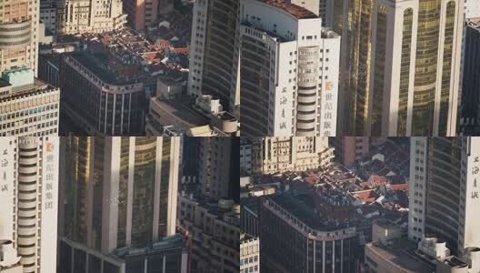 遥望上海书城和鸽群高清在线视频素材下载