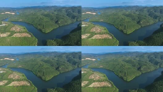 赣南脐橙高清在线视频素材下载