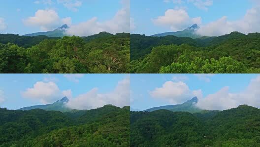 海南五指山热带雨林航拍高清在线视频素材下载