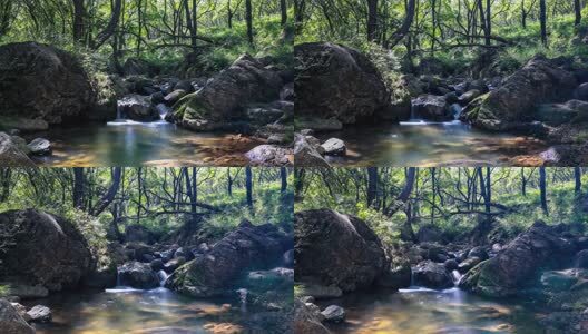 小溪森林流水溪水延时高清在线视频素材下载