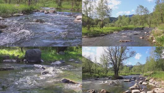 小溪森林流水溪水延时高清在线视频素材下载