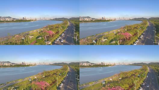 航拍横琴新区花海长廊高清在线视频素材下载