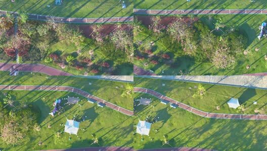 航拍横琴新区花海长廊高清在线视频素材下载