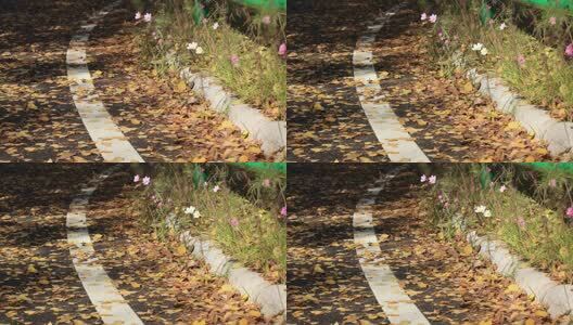 4K秋天落叶秋季泛黄的树叶高清在线视频素材下载