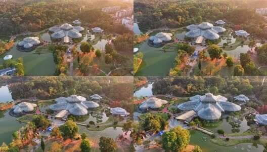 航拍广州华南国家植物园温室高清在线视频素材下载