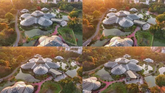 航拍广州华南国家植物园温室高清在线视频素材下载