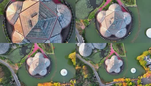 航拍广州华南国家植物园温室高清在线视频素材下载