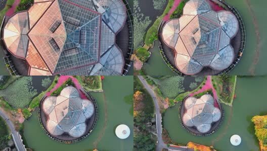 航拍广州华南国家植物园温室高清在线视频素材下载