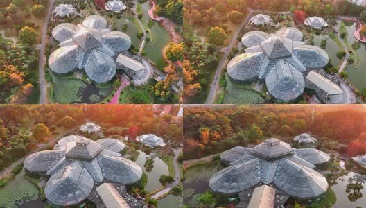 航拍广州华南国家植物园温室高清在线视频素材下载