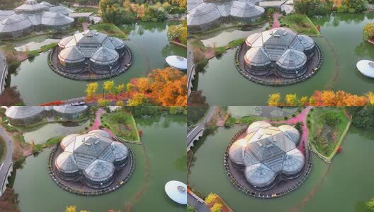 航拍广州华南国家植物园温室高清在线视频素材下载