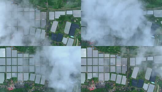 大棚蔬菜种植基地高清在线视频素材下载