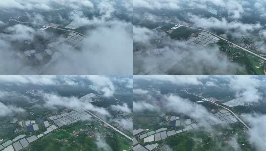 大棚蔬菜种植基地高清在线视频素材下载