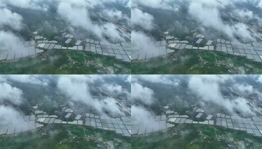 大棚蔬菜种植基地高清在线视频素材下载