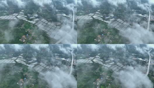 大棚蔬菜种植基地高清在线视频素材下载