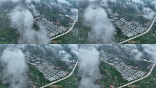 大棚蔬菜种植基地高清在线视频素材下载