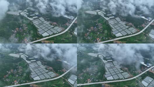 大棚蔬菜种植基地高清在线视频素材下载