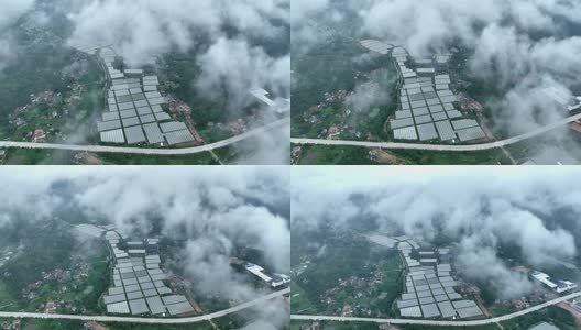 大棚蔬菜种植基地高清在线视频素材下载