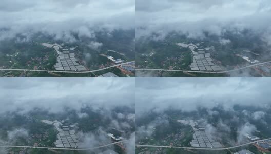 大棚蔬菜种植基地高清在线视频素材下载