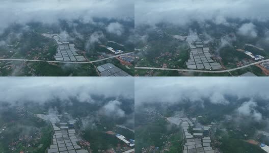 大棚蔬菜种植基地高清在线视频素材下载