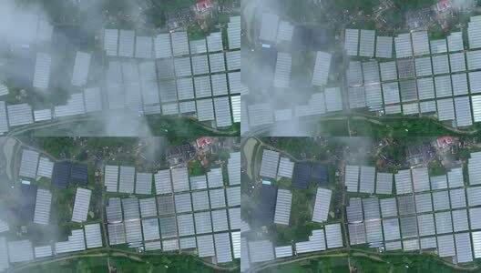 大棚蔬菜种植基地高清在线视频素材下载