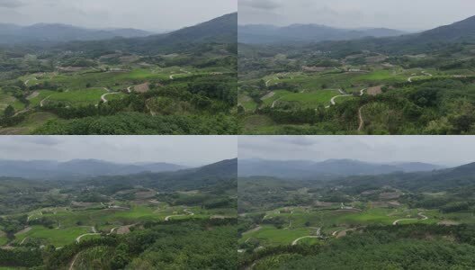 海南五指山牙胡梯田高清在线视频素材下载