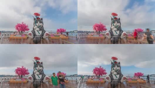 山东省烟台市芝罘区芝罘湾广场吾皇猫蓝天白云城市建筑风光延时视频高清在线视频素材下载