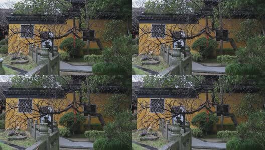 苏州香雪海司徒庙典雅古建筑自然风光高清在线视频素材下载