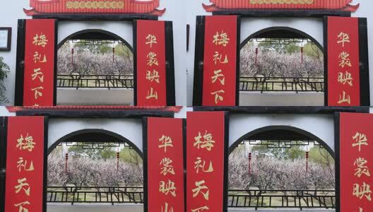 苏州香雪海司徒庙典雅古建筑自然风光高清在线视频素材下载