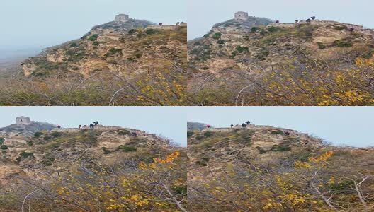 长城秋季景色高清在线视频素材下载