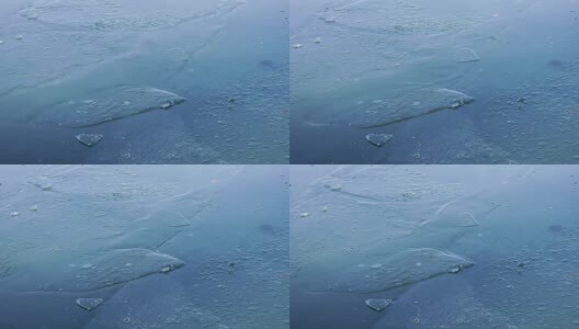 寒潮来临气温下降南京玄武湖公园湖面结冰高清在线视频素材下载