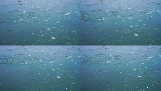寒潮来临气温下降南京玄武湖公园湖面结冰高清在线视频素材下载