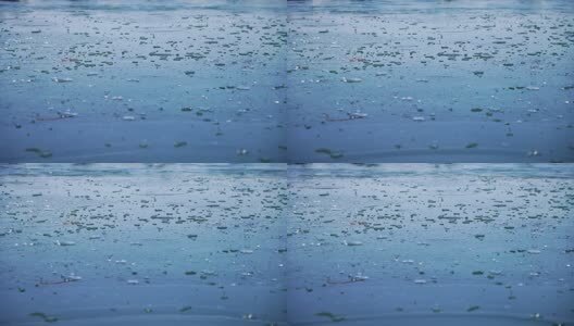 寒潮来临气温下降南京玄武湖公园湖面结冰高清在线视频素材下载