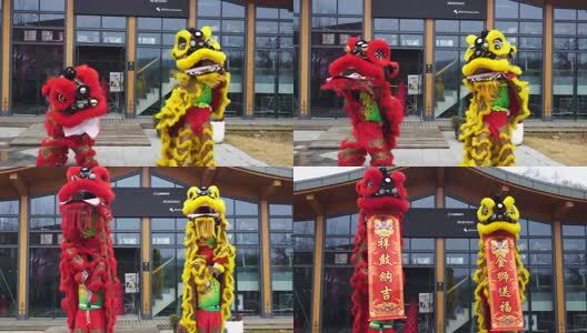 中国传统民俗文化舞狮醒狮高清在线视频素材下载