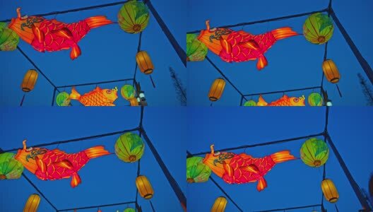 新年鱼灯花灯夜景高清在线视频素材下载