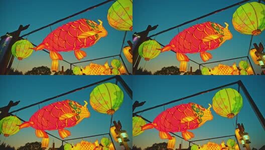 新年鱼灯花灯夜景高清在线视频素材下载