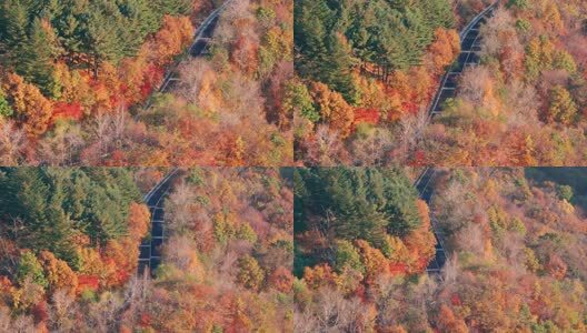 深秋时节下东北辽宁坎川岭公路无边秋色高清在线视频素材下载