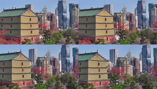 春日镇海楼木棉红无人机俯瞰高清在线视频素材下载