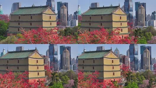 春日镇海楼木棉红无人机俯瞰高清在线视频素材下载