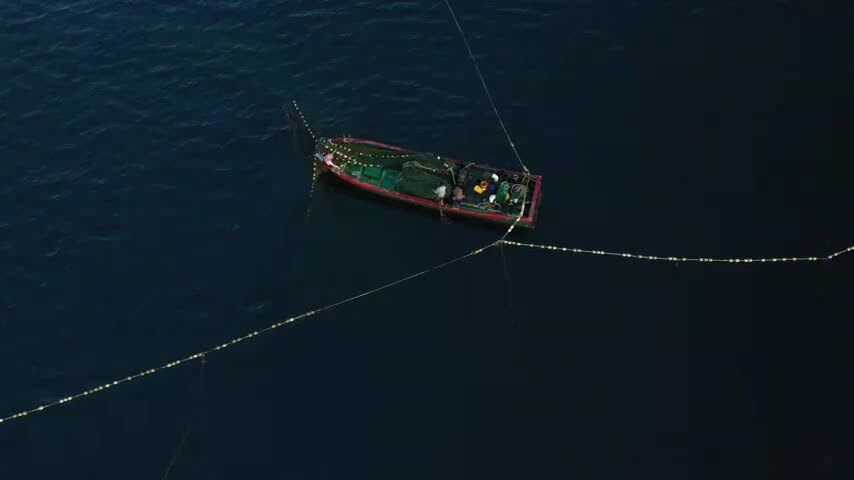 4k航拍渔民捕鱼