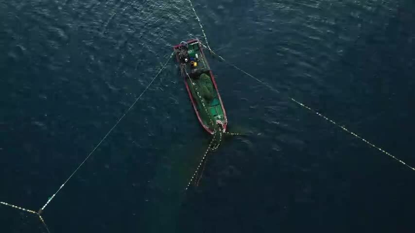 4k航拍渔民捕鱼