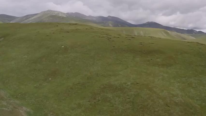 青海山脉高原草原