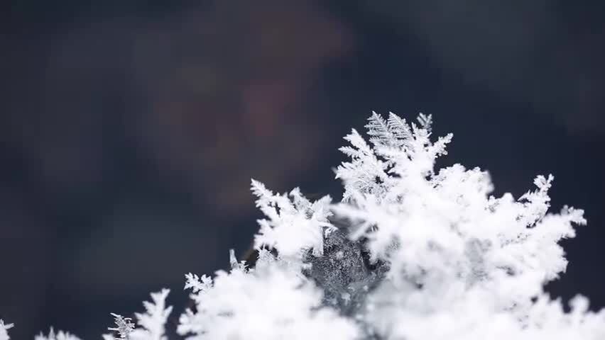 微距雪花