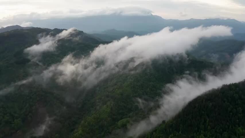 海南五指山热带雨林航拍