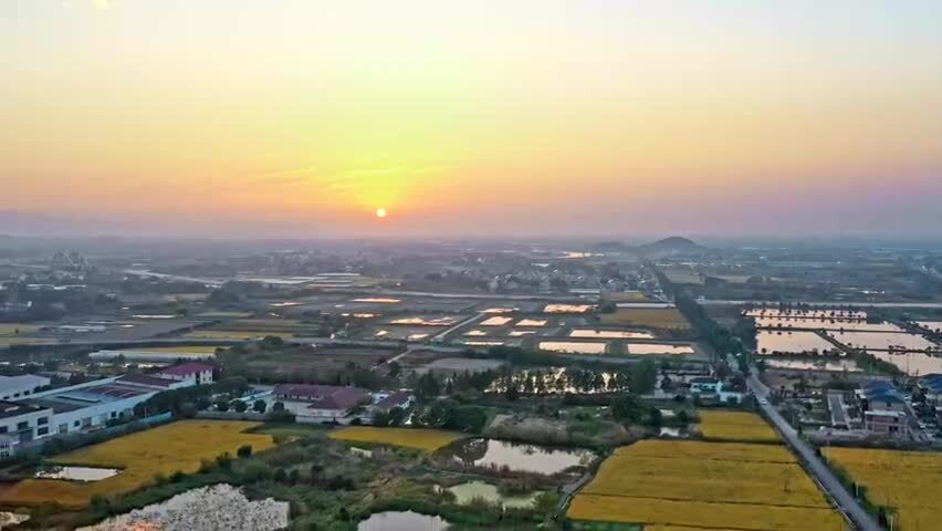 江南湖州秋天稻田丰收航拍